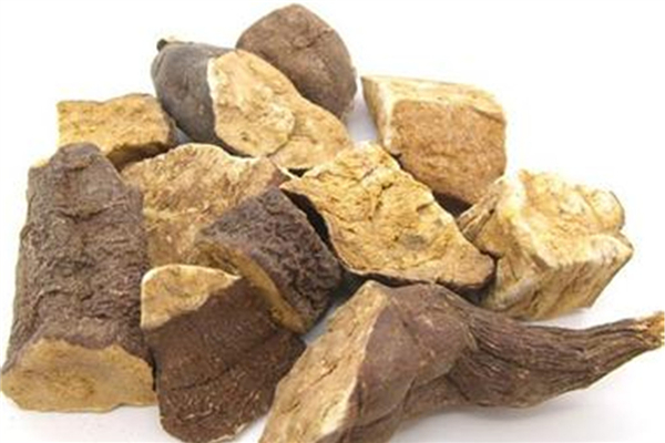 何首烏可以補腎嗎 何首烏對男性有什么作用 何首烏可以補腎嗎 何首烏對男性有什么作用