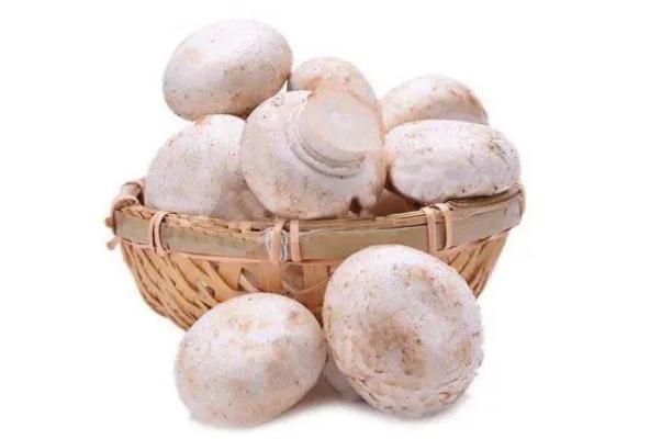 口蘑會(huì)發(fā)胖嗎 口蘑會(huì)壞嗎 口蘑會(huì)發(fā)胖嗎 口蘑會(huì)壞嗎