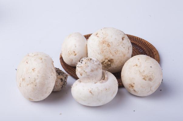 口蘑有斑點還能吃嗎 口蘑有毒性嗎 口蘑有斑點還能吃嗎 口蘑有毒性嗎