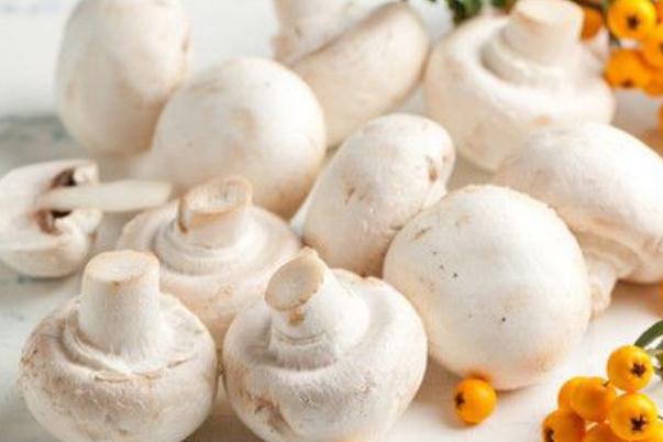 口蘑會(huì)發(fā)胖嗎 口蘑會(huì)壞嗎 口蘑會(huì)發(fā)胖嗎 口蘑會(huì)壞嗎