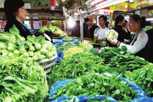 蔬菜是植物類嗎 蔬菜是酸性還是堿性食物 蔬菜是植物類嗎 蔬菜是酸性還是堿性食物