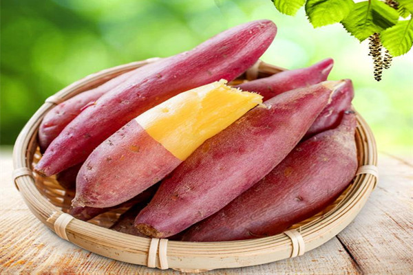 紅薯的營(yíng)養(yǎng)成分 紅薯可以生吃嗎 紅薯的營(yíng)養(yǎng)成分 紅薯可以生吃嗎