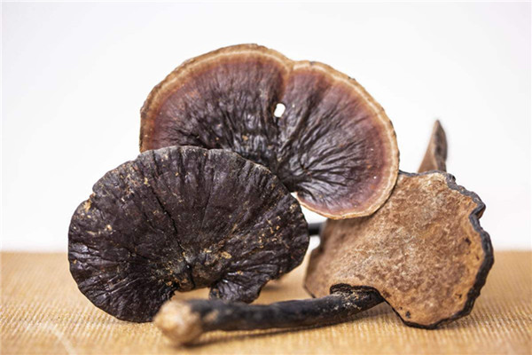 靈芝能降血糖嗎 靈芝的營養(yǎng)價(jià)值是什么 靈芝能降血糖嗎 靈芝的營養(yǎng)價(jià)值是什么