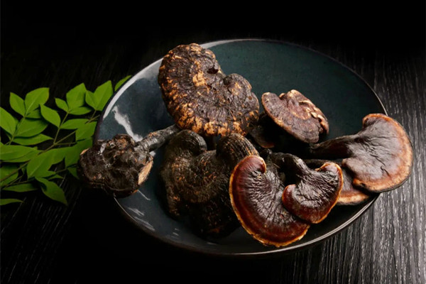 靈芝煮水要煮多久 靈芝不能和什么一起吃 靈芝煮水要煮多久 靈芝不能和什么一起吃