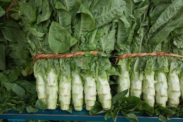 萵苣要煮多久 萵苣要削皮嗎 萵苣要煮多久 萵苣要削皮嗎