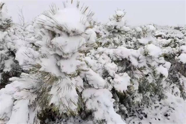 強(qiáng)寒潮是什么意思 強(qiáng)寒潮是在打臉全球變暖嗎 強(qiáng)寒潮是什么意思 強(qiáng)寒潮是在打臉全球變暖嗎