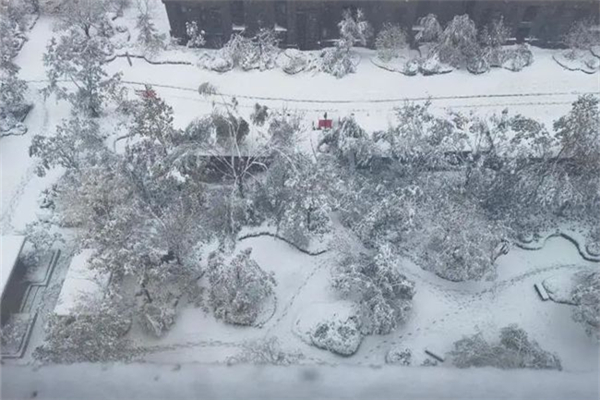 暴雪的標(biāo)準(zhǔn)是多少 暴雪對(duì)生活的影響 暴雪的標(biāo)準(zhǔn)是多少 暴雪對(duì)生活的影響