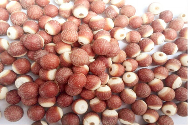 芡實能空腹吃嗎 芡實晚上可以吃嗎 芡實能空腹吃嗎 芡實晚上可以吃嗎