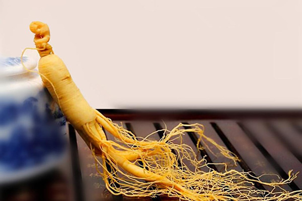 長(zhǎng)白山人參是涼性還是熱性 長(zhǎng)白山人參有什么功效 長(zhǎng)白山人參是涼性還是熱性 長(zhǎng)白山人參有什么功效