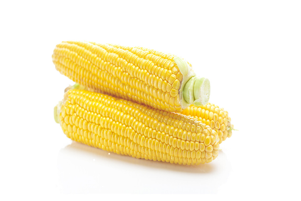 玉米需要放冰箱嗎 玉米怎么保存時(shí)間長一點(diǎn) 玉米需要放冰箱嗎 玉米怎么保存時(shí)間長一點(diǎn)