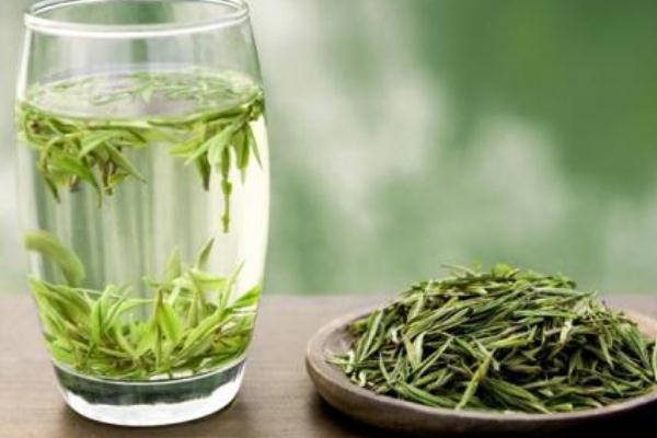 安吉白茶要多少度水泡 安吉白茶要放冰箱保存嗎 安吉白茶要多少度水泡 安吉白茶要放冰箱保存嗎