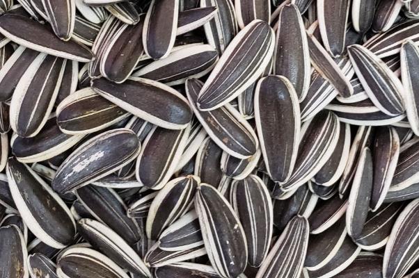 葵瓜子的營養(yǎng)成分 葵瓜子的種類 葵瓜子的營養(yǎng)成分 葵瓜子的種類