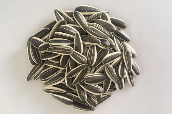 葵瓜子有哪些口味 葵瓜子有什么營養(yǎng)價值 葵瓜子有哪些口味 葵瓜子有什么營養(yǎng)價值