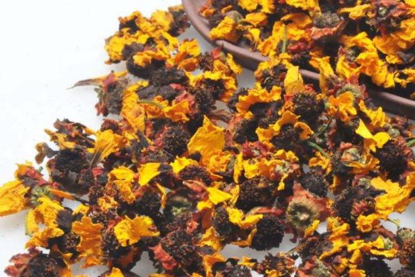 雪菊一次泡多少朵 雪菊的用法與用量 雪菊一次泡多少朵 雪菊的用法與用量