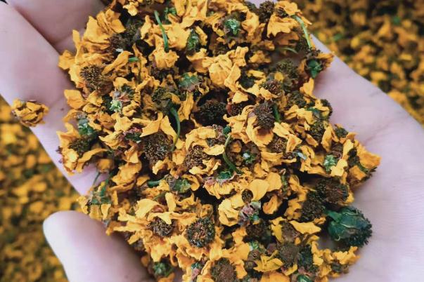 雪菊一次泡多少朵 雪菊的用法與用量 雪菊一次泡多少朵 雪菊的用法與用量