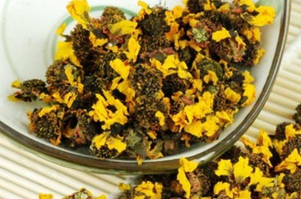 雪菊一次泡多少朵 雪菊的用法與用量 雪菊一次泡多少朵 雪菊的用法與用量