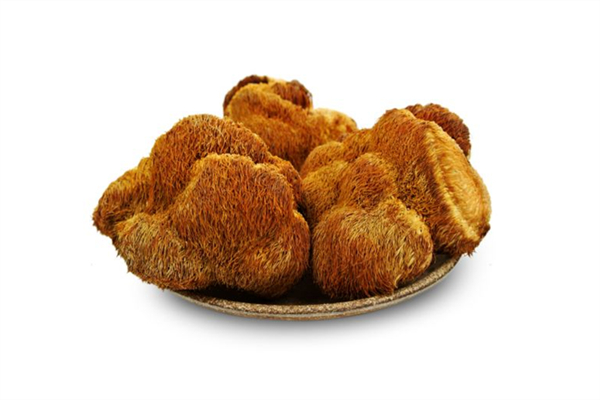 猴頭菇是什么顏色的 猴頭菇怎么挑選 猴頭菇是什么顏色的 猴頭菇怎么挑選