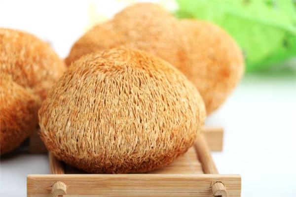 猴頭菇怎么吃才養(yǎng)胃 猴頭菇的作用和功效 猴頭菇怎么吃才養(yǎng)胃 猴頭菇的作用和功效