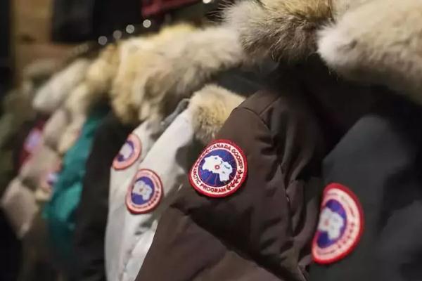 加拿大鵝的充絨量是多少 加拿大鵝適合的溫度多少 加拿大鵝的充絨量是多少 加拿大鵝適合的溫度多少