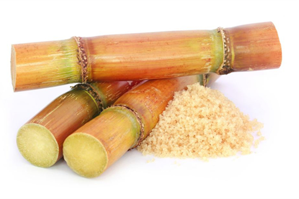 甘蔗含糖量高嗎 甘蔗會(huì)升血糖嗎 甘蔗含糖量高嗎 甘蔗會(huì)升血糖嗎