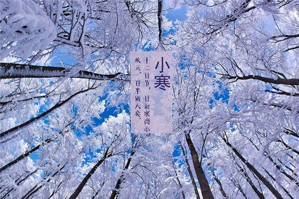 小寒吃什么傳統(tǒng)食物 小寒有什么風(fēng)俗活動(dòng) 小寒吃什么傳統(tǒng)食物 小寒有什么風(fēng)俗活動(dòng)