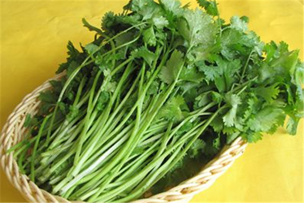 香菜和什么不能一起吃 香菜為什么那么貴 香菜和什么不能一起吃 香菜為什么那么貴