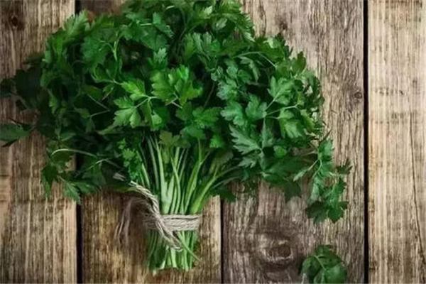 香菜涼拌要焯水嗎 香菜涼拌的做法 香菜涼拌要焯水嗎 香菜涼拌的做法