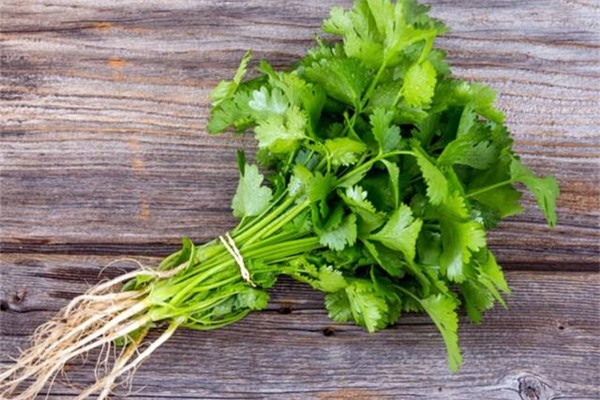 香菜和什么不能一起吃 香菜為什么那么貴 香菜和什么不能一起吃 香菜為什么那么貴