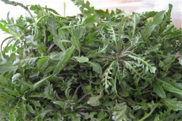 薺菜包餃子要用開(kāi)水燙一下嗎 薺菜包餃子怎么做好吃 薺菜包餃子要用開(kāi)水燙一下嗎 薺菜包餃子怎么做好吃