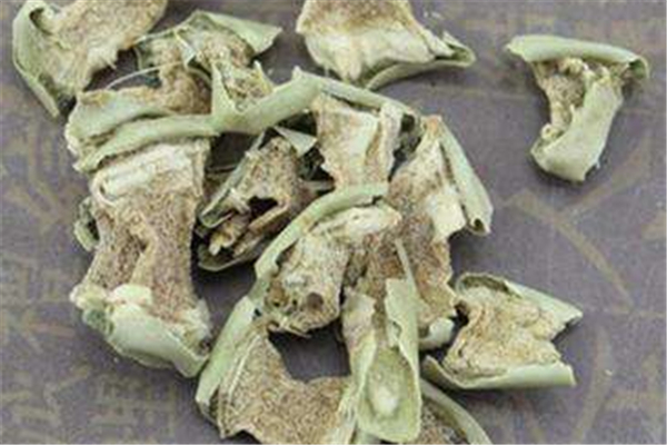 仙人掌有毒嗎 仙人掌怎么吃 仙人掌有毒嗎 仙人掌怎么吃