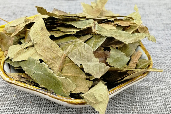 枇杷葉煮水能加蜂蜜嗎 枇杷葉煮水可以天天喝嗎 枇杷葉煮水能加蜂蜜嗎 枇杷葉煮水可以天天喝嗎