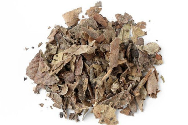 枇杷葉煮水是用新葉還是老葉 枇杷葉煮水可以泡腳嗎 枇杷葉煮水是用新葉還是老葉 枇杷葉煮水可以泡腳嗎