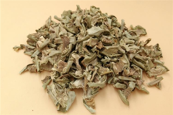 仙人掌可以炒著吃嗎 仙人掌哪種可以吃 仙人掌可以炒著吃嗎 仙人掌哪種可以吃