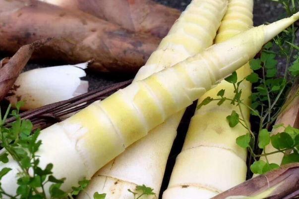 春筍有點(diǎn)黑還能吃嗎 春筍會(huì)過敏嗎 春筍有點(diǎn)黑還能吃嗎 春筍會(huì)過敏嗎