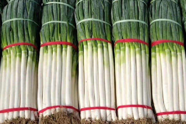 大蔥可以代替小蔥嗎 大蔥和小蔥有什么區(qū)別 大蔥可以代替小蔥嗎 大蔥和小蔥有什么區(qū)別