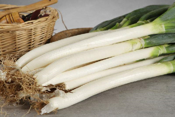 大蔥的功效和作用 大蔥可以壯陽嗎 大蔥的功效和作用 大蔥可以壯陽嗎