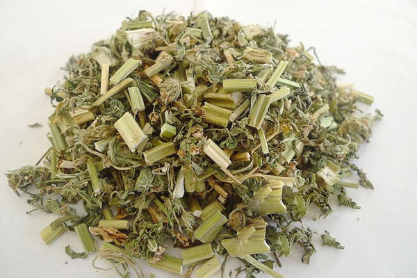 益母草可以治療盆腔炎嗎 益母草能治宮寒嗎 益母草可以治療盆腔炎嗎 益母草能治宮寒嗎