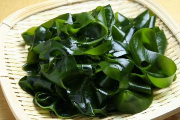 裙帶菜是高嘌呤食物嗎 裙帶菜痛風(fēng)的人可以吃嗎 裙帶菜是高嘌呤食物嗎 裙帶菜痛風(fēng)的人可以吃嗎