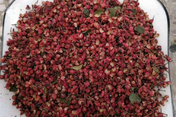 大紅袍花椒是紅花椒嗎 大紅袍花椒屬于什么椒 大紅袍花椒是紅花椒嗎 大紅袍花椒屬于什么椒