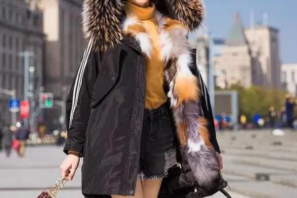 派克服有點(diǎn)掉毛怎么辦 派克服為什么會(huì)掉毛 派克服有點(diǎn)掉毛怎么辦 派克服為什么會(huì)掉毛