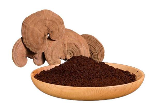 靈芝孢子粉要用溫水還是熱水沖泡 靈芝孢子粉為什么要用溫水沖服 靈芝孢子粉要用溫水還是熱水沖泡 靈芝孢子粉為什么要用溫水沖服