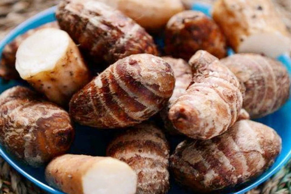 芋頭能不能生吃 芋頭能不能空腹吃 芋頭能不能生吃 芋頭能不能空腹吃