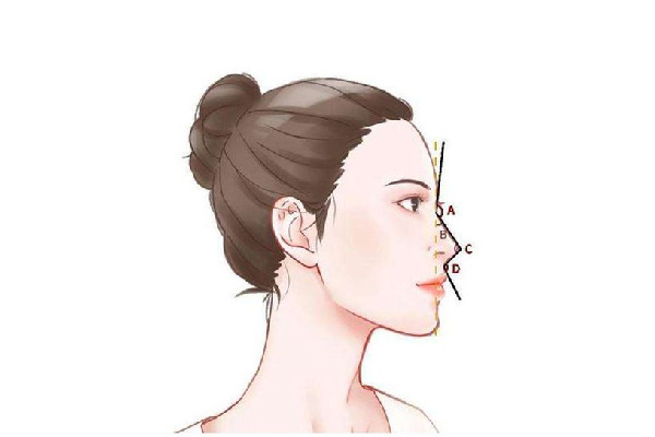 隆鼻價格大概多少 隆鼻去三甲醫(yī)院好還是美容醫(yī)院好 隆鼻價格大概多少 隆鼻去三甲醫(yī)院好還是美容醫(yī)院好