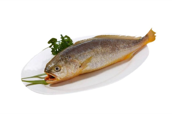 黃花魚的熱量是多少大卡 黃花魚減肥可以吃嗎 黃花魚的熱量是多少大卡 黃花魚減肥可以吃嗎