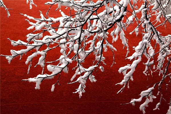 小寒的由來是什么 小寒是數(shù)九開始嗎 小寒的由來是什么 小寒是數(shù)九開始嗎