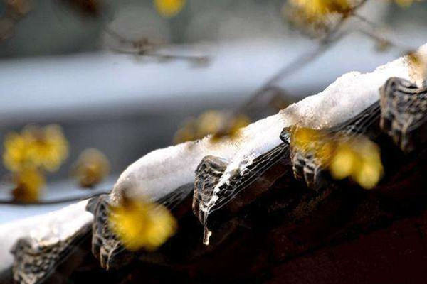 小寒節(jié)氣吃什么傳統(tǒng)食物 小寒節(jié)氣吃什么水果 小寒節(jié)氣吃什么傳統(tǒng)食物 小寒節(jié)氣吃什么水果