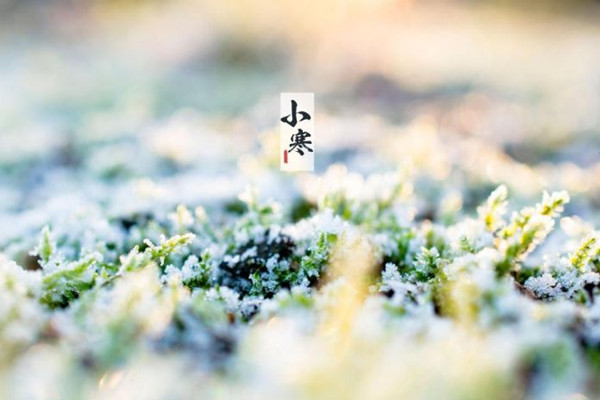 小寒節(jié)氣有什么忌諱 小寒節(jié)氣有什么說(shuō)法 小寒節(jié)氣有什么忌諱 小寒節(jié)氣有什么說(shuō)法