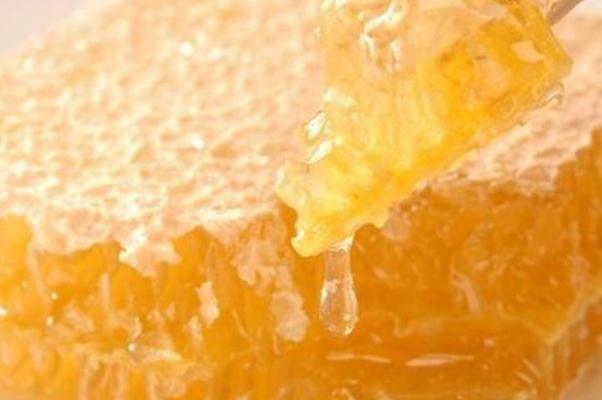 蜂膠是蜂巢嗎 蜂膠要吃多久才有效果 蜂膠是蜂巢嗎 蜂膠要吃多久才有效果