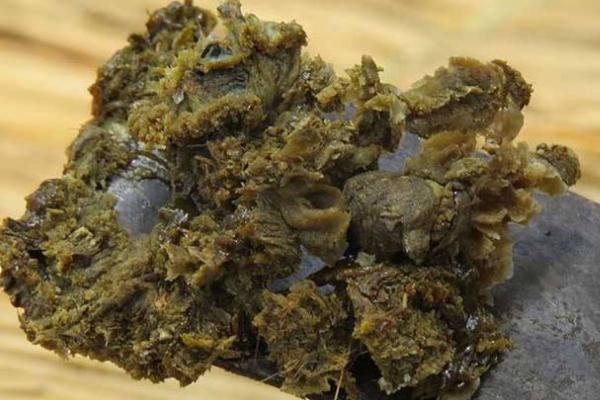 蜂膠孕婦可以吃嗎 蜂膠的副作用有哪些 蜂膠孕婦可以吃嗎 蜂膠的副作用有哪些