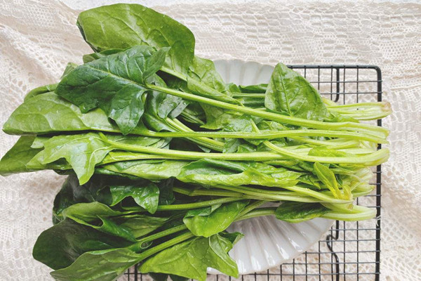 菠菜有什么營養(yǎng)價值 菠菜有減肥功效嗎 菠菜有什么營養(yǎng)價值 菠菜有減肥功效嗎